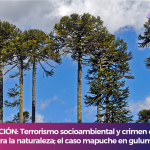 Copia de infonovena website (2)