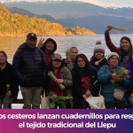 Copia de infonovena website