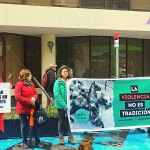 Copia de Web InfoNovena (1)