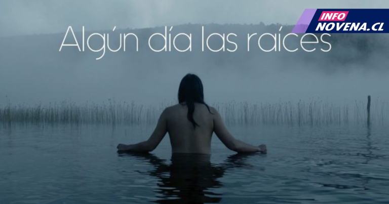 Copia de Web InfoNovena