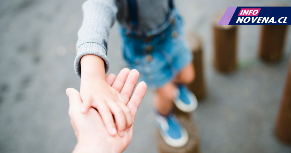 Copia de Web InfoNovena