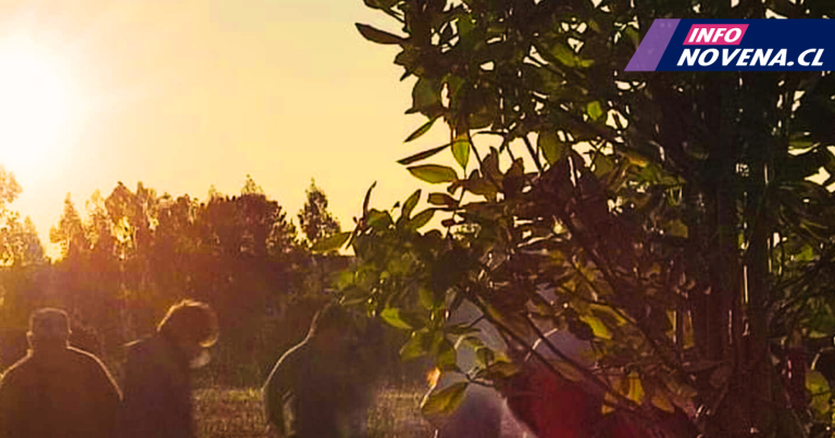 Copia de Web InfoNovena